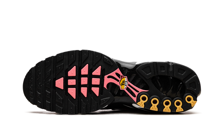 NIKE AIR MAX PLUS ALL DAY