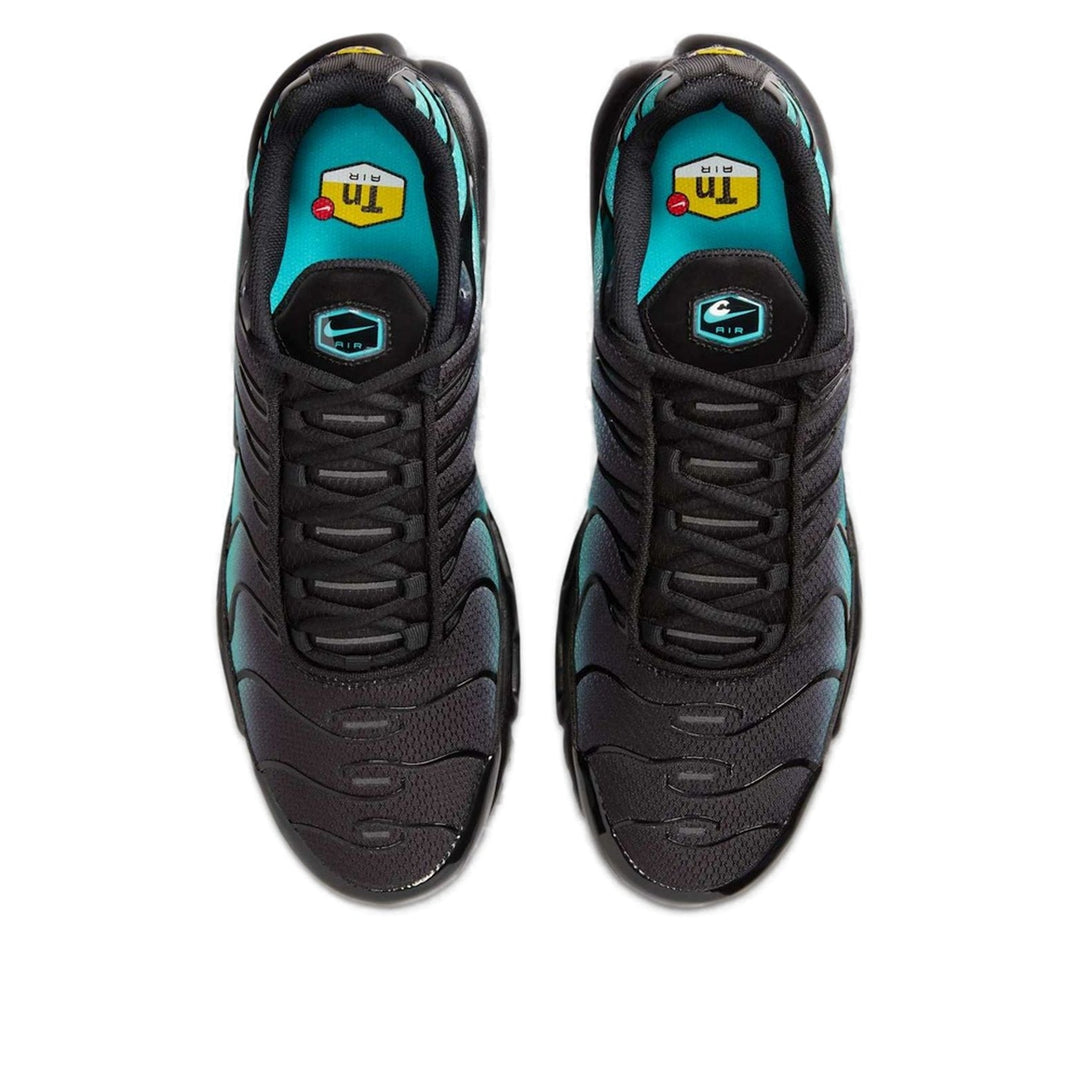 NIKE AIR MAX PLUS BLACK DUSTY CACTUS
