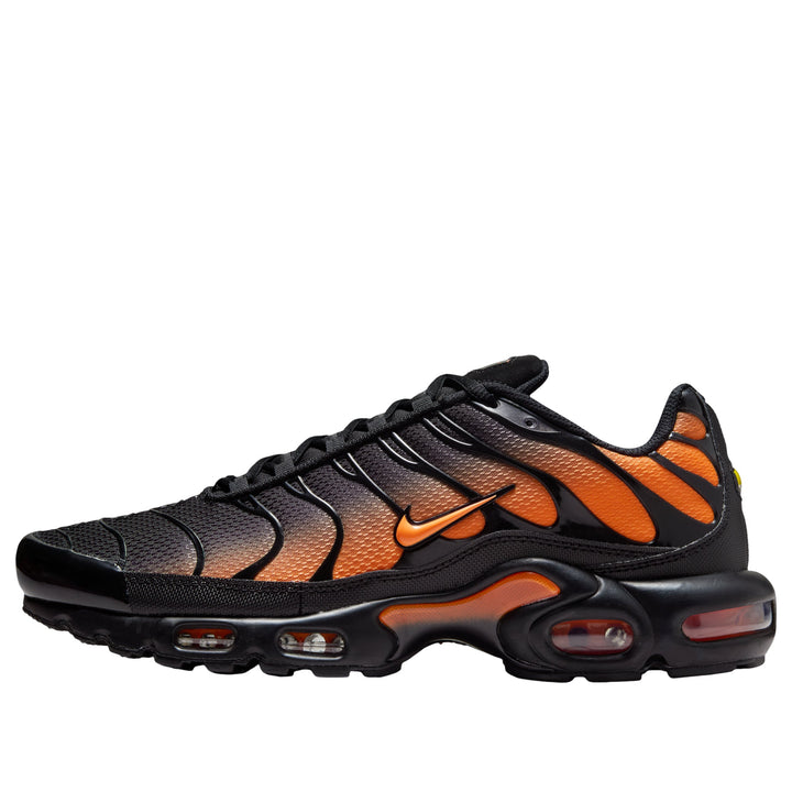NIKE AIR MAX PLUS &