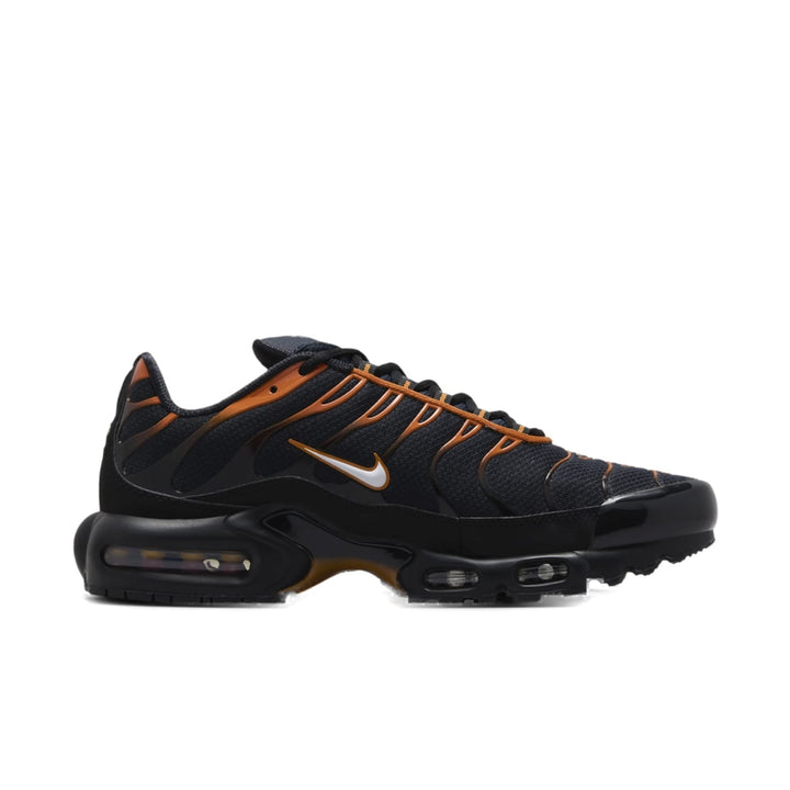 NIKE AIR MAX PLUS DARK OBSIDIAN MONARCH