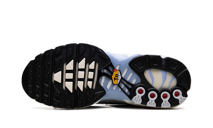 NIKE AIR MAX PLUS DAYBREAK (WOMEN&