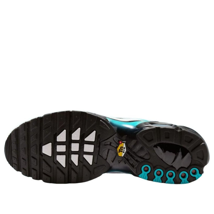NIKE AIR MAX PLUS DUSTY CACTUS