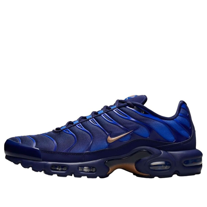 NIKE AIR MAX PLUS FRENCH FOOTBALL FEDERATION