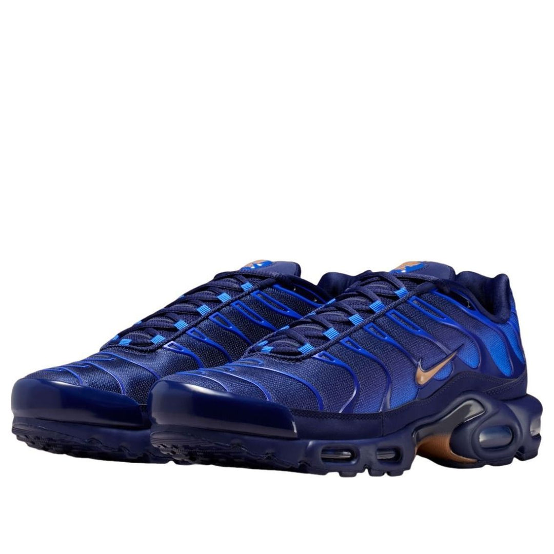 NIKE AIR MAX PLUS FRENCH FOOTBALL FEDERATION