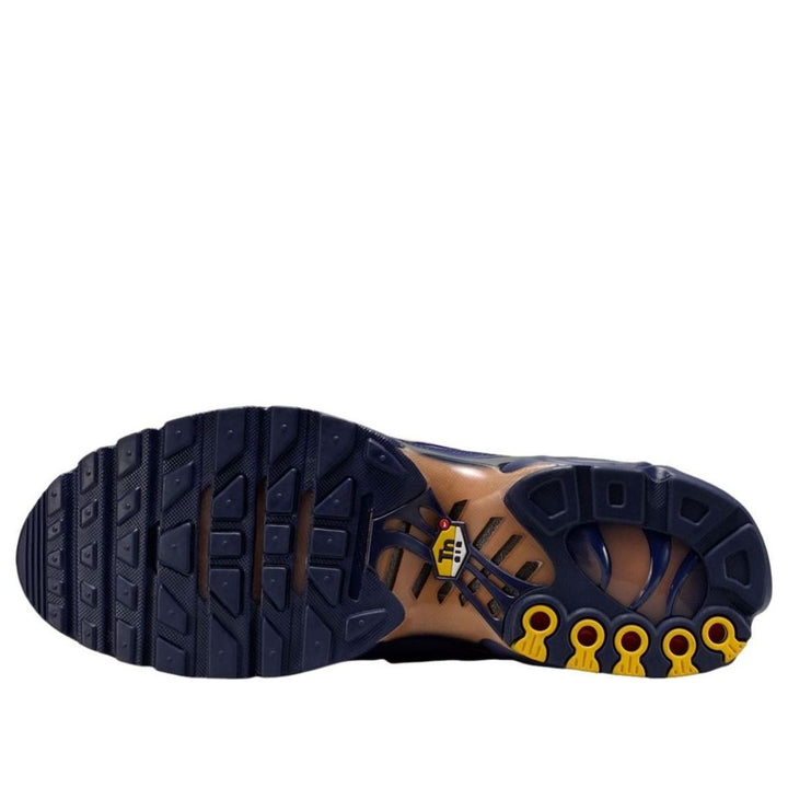 NIKE AIR MAX PLUS FRENCH FOOTBALL FEDERATION