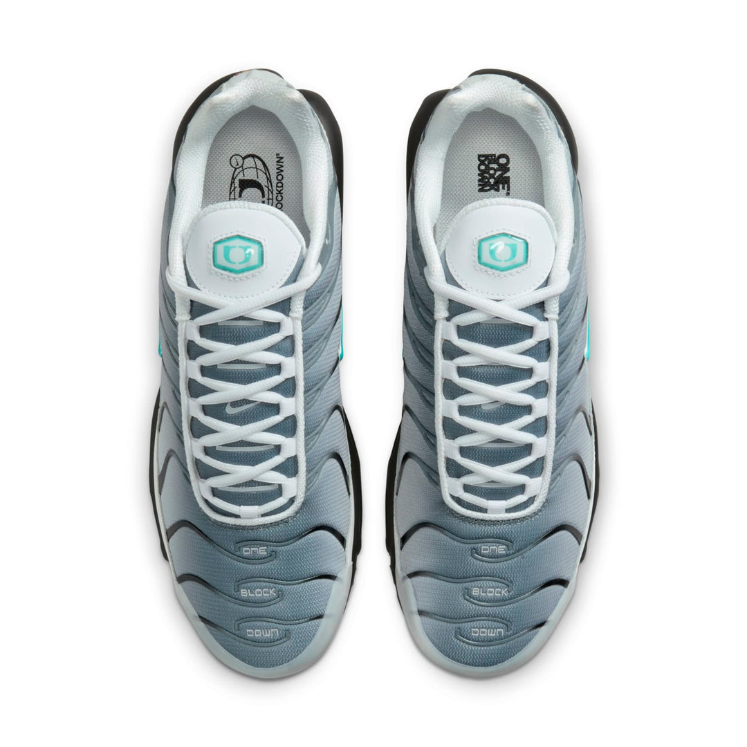 NIKE AIR MAX PLUS ONE BLOCK DOWN MATTE SILVER