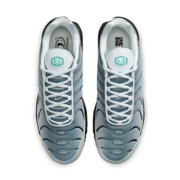 NIKE AIR MAX PLUS ONE BLOCK DOWN MATTE SILVER — Stock