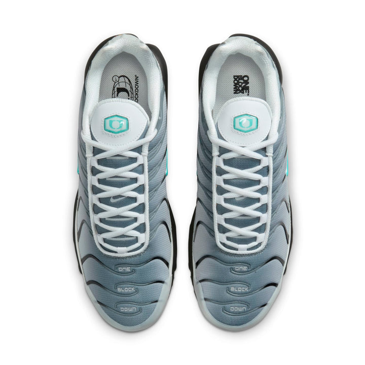 NIKE AIR MAX PLUS ONE BLOCK DOWN MATTE SILVER