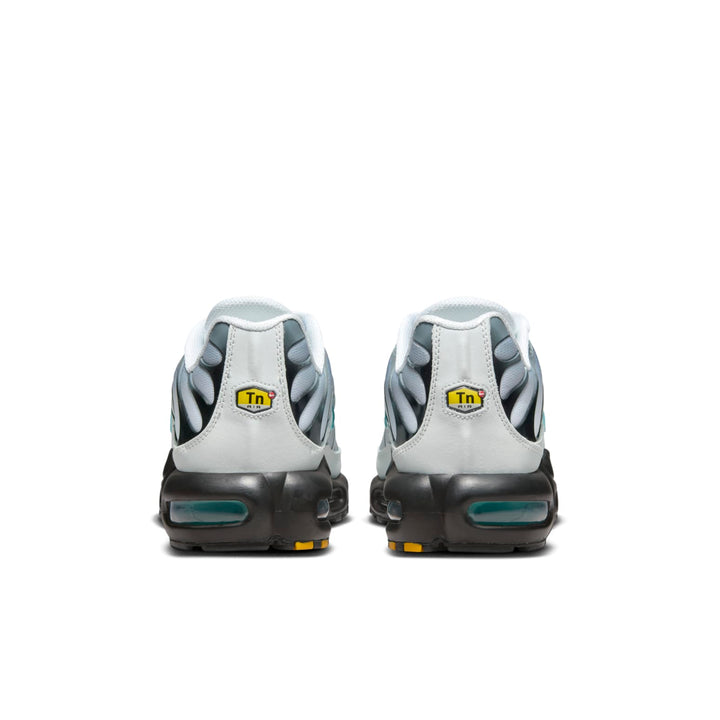 NIKE AIR MAX PLUS ONE BLOCK DOWN MATTE SILVER