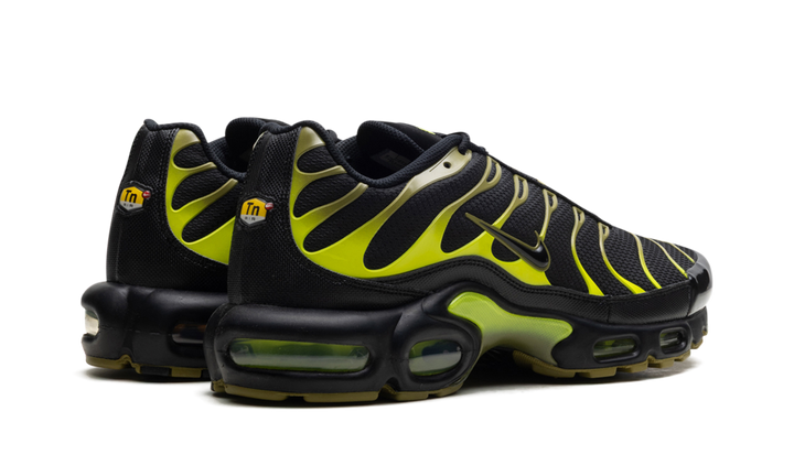 NIKE AIR MAX PLUS PACIFIC MOSS