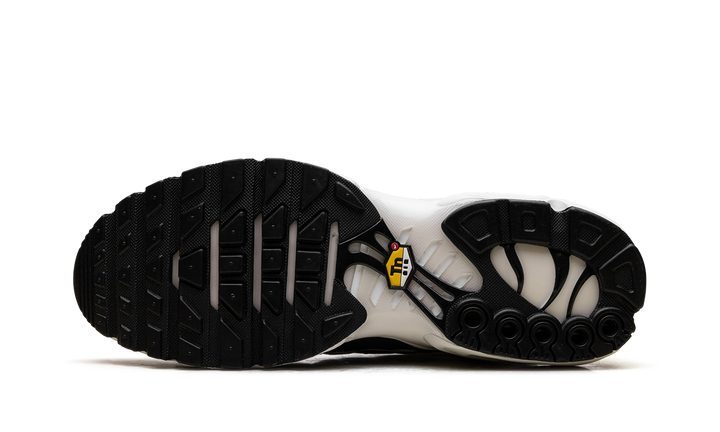 NIKE AIR MAX PLUS PANDA