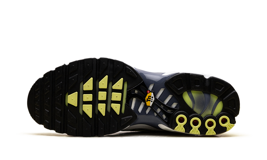 NIKE AIR MAX PLUS PEBBLE GREY LIME