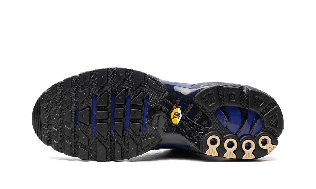 NIKE AIR MAX PLUS PREMIUM BLACK RACER BLUE