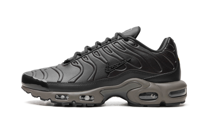 NIKE AIR MAX PLUS PREMIUM PARIS