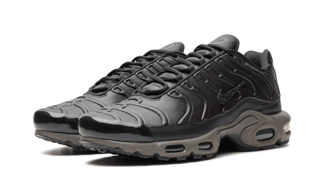 NIKE AIR MAX PLUS PREMIUM PARIS
