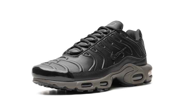 NIKE AIR MAX PLUS PREMIUM PARIS