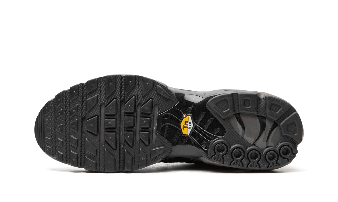 NIKE AIR MAX PLUS PREMIUM PARIS