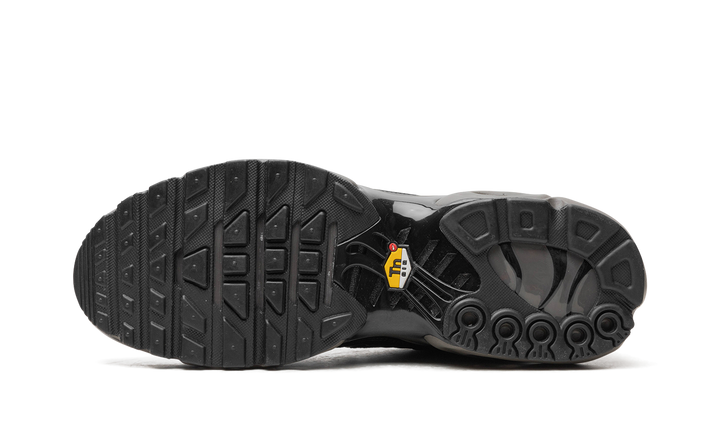 NIKE AIR MAX PLUS PREMIUM PARIS