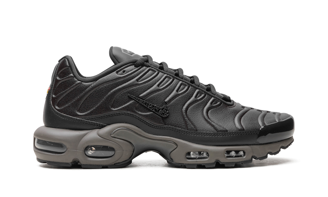 NIKE AIR MAX PLUS PREMIUM PARIS