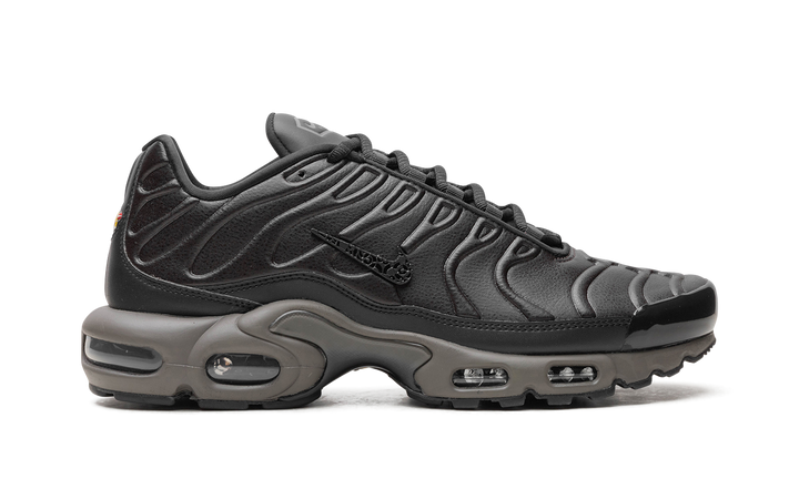 NIKE AIR MAX PLUS PREMIUM PARIS