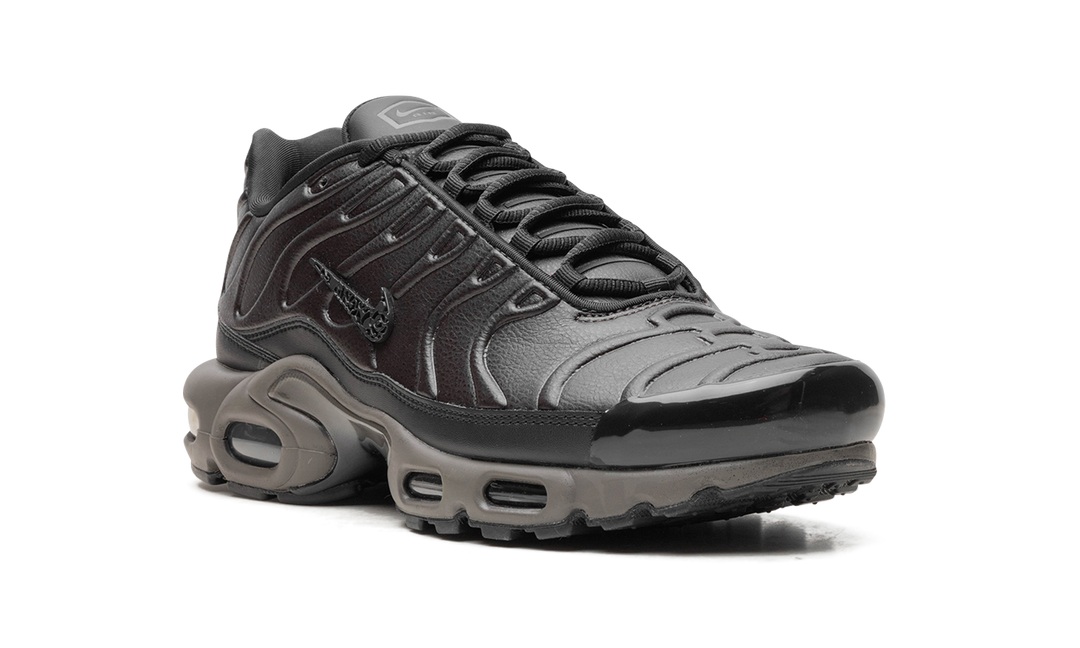 NIKE AIR MAX PLUS PREMIUM PARIS