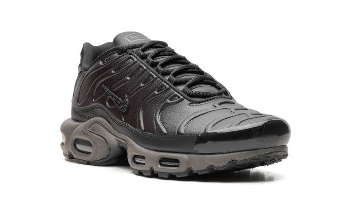 NIKE AIR MAX PLUS PREMIUM PARIS