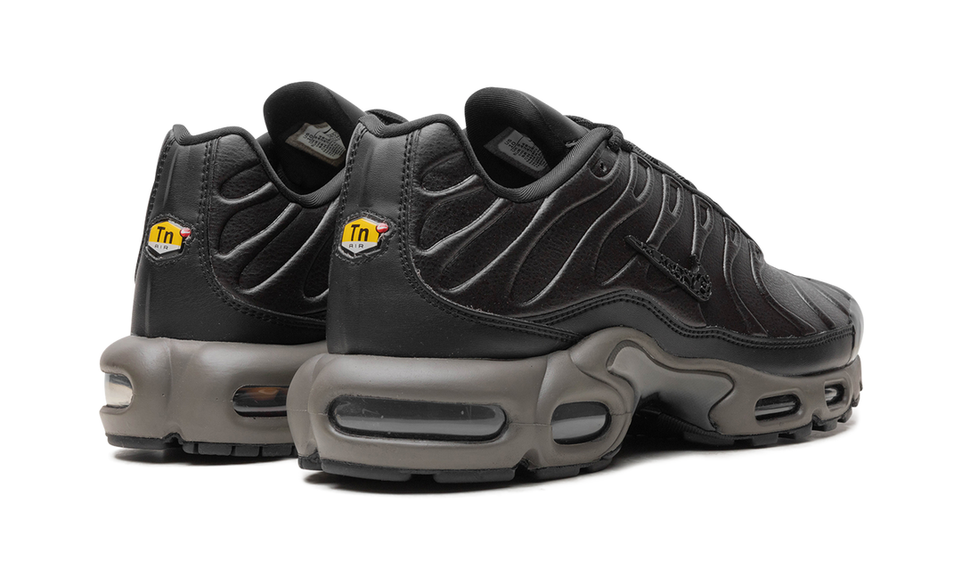 NIKE AIR MAX PLUS PREMIUM PARIS
