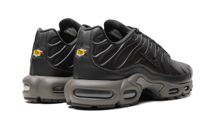NIKE AIR MAX PLUS PREMIUM PARIS