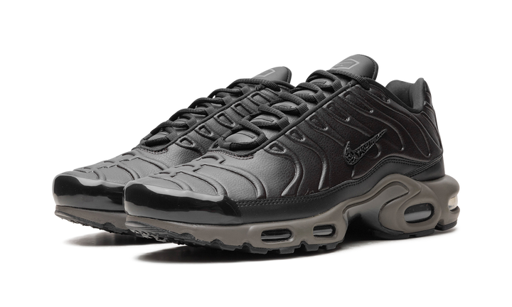 NIKE AIR MAX PLUS PREMIUM PARIS