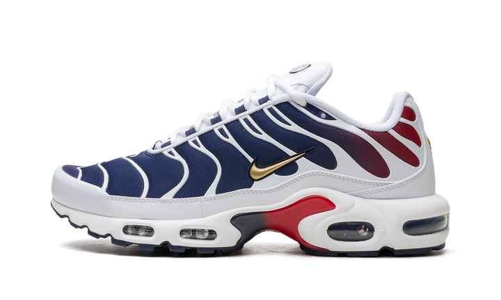NIKE AIR MAX PLUS PSG