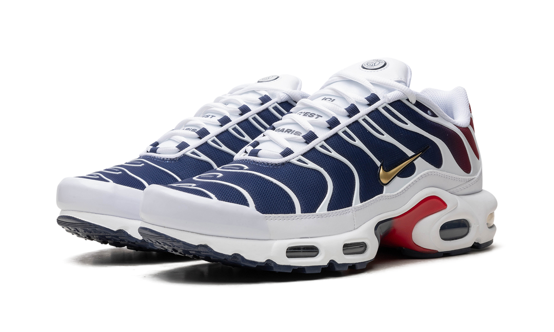 NIKE AIR MAX PLUS PSG