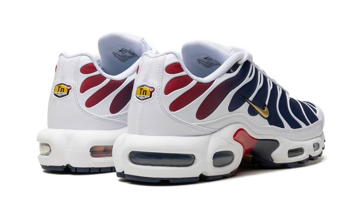 NIKE AIR MAX PLUS PSG