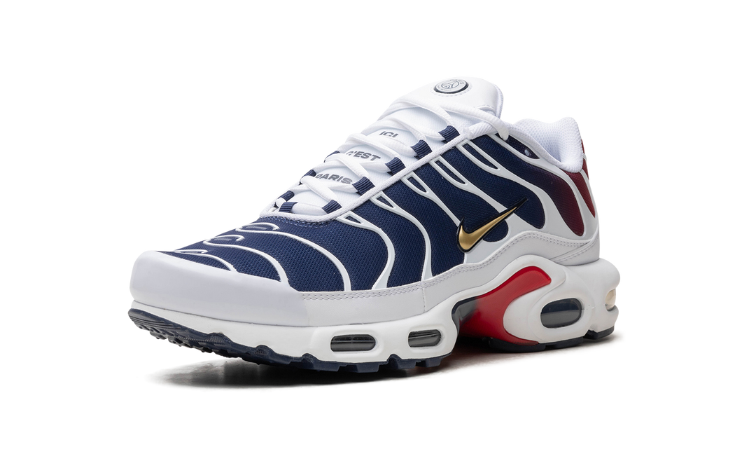 NIKE AIR MAX PLUS PSG