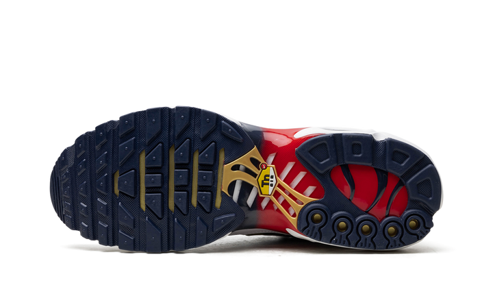 NIKE AIR MAX PLUS PSG