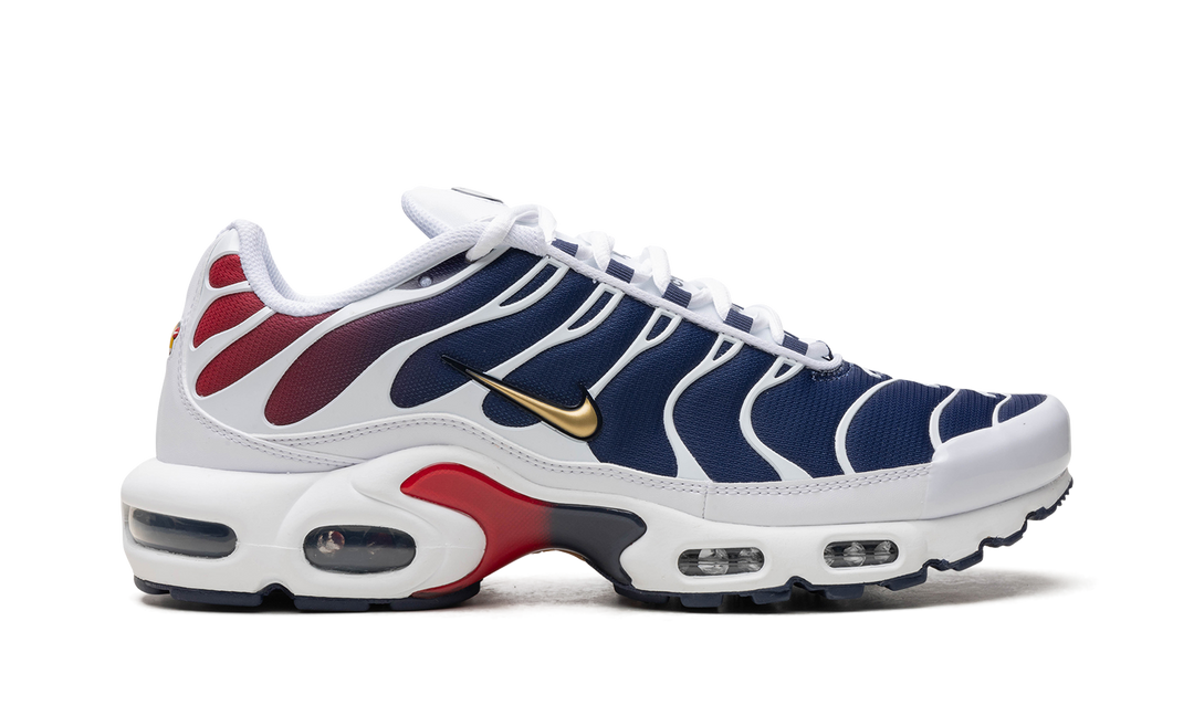 NIKE AIR MAX PLUS PSG