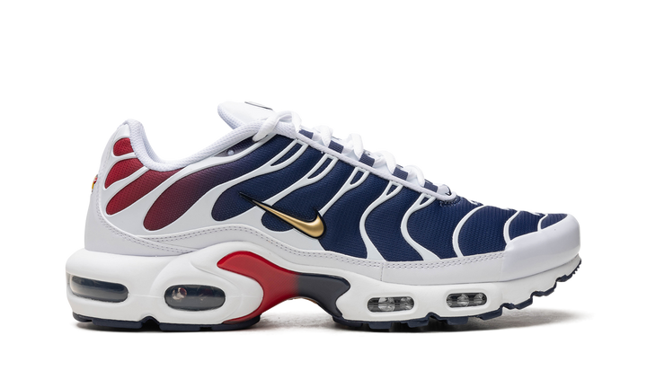 NIKE AIR MAX PLUS PSG