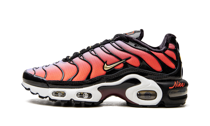 NIKE AIR MAX PLUS SISTERHOOD