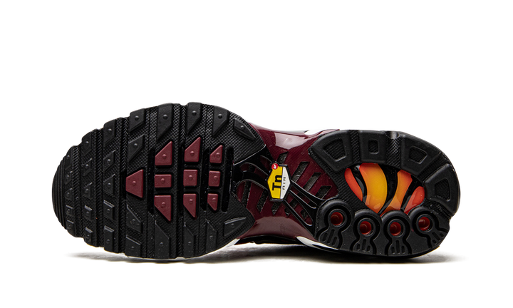 NIKE AIR MAX PLUS SISTERHOOD