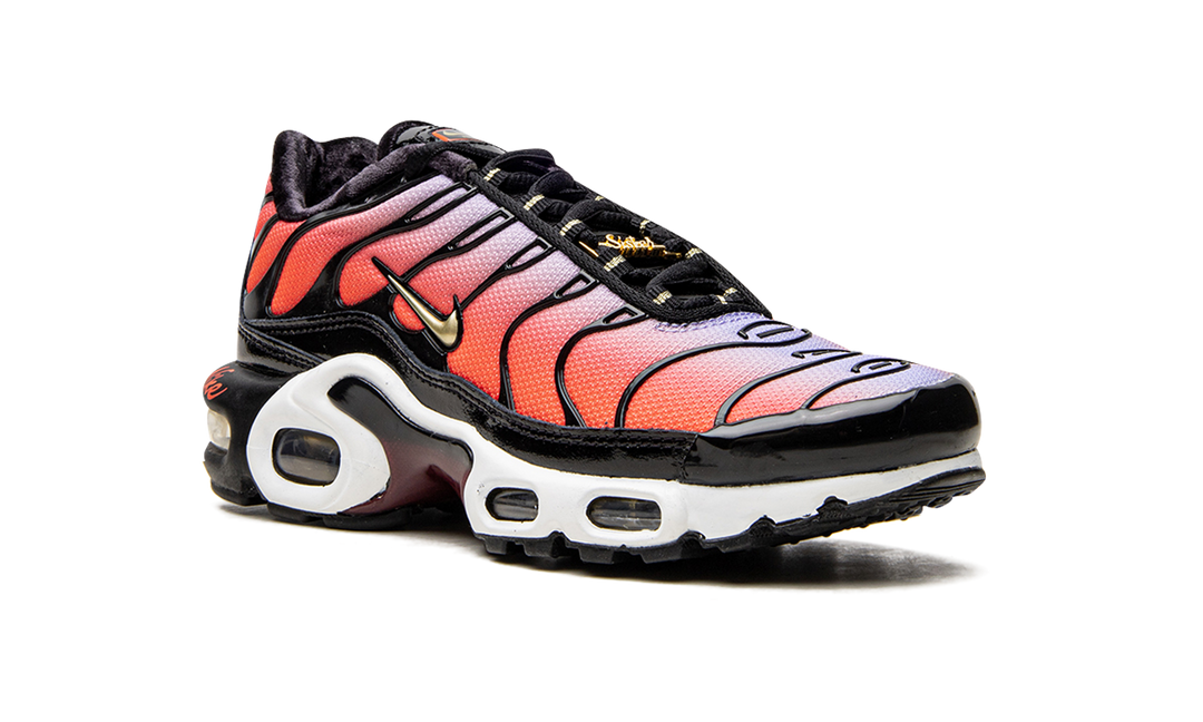 NIKE AIR MAX PLUS SISTERHOOD