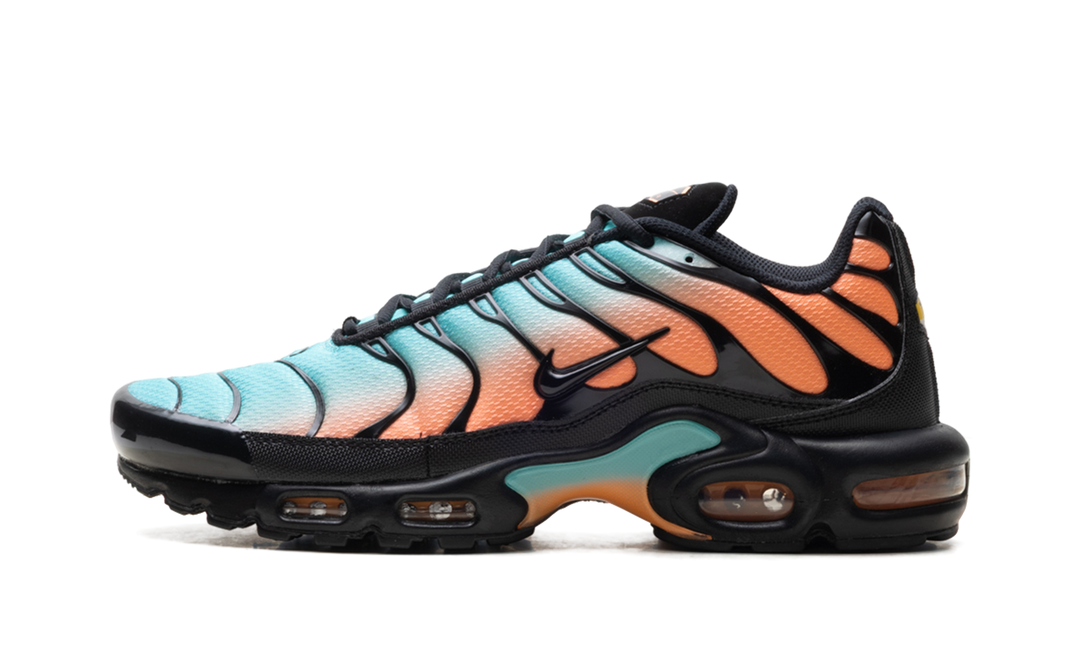 NIKE AIR MAX PLUS SOUTH BEACH