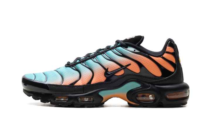 NIKE AIR MAX PLUS SOUTH BEACH