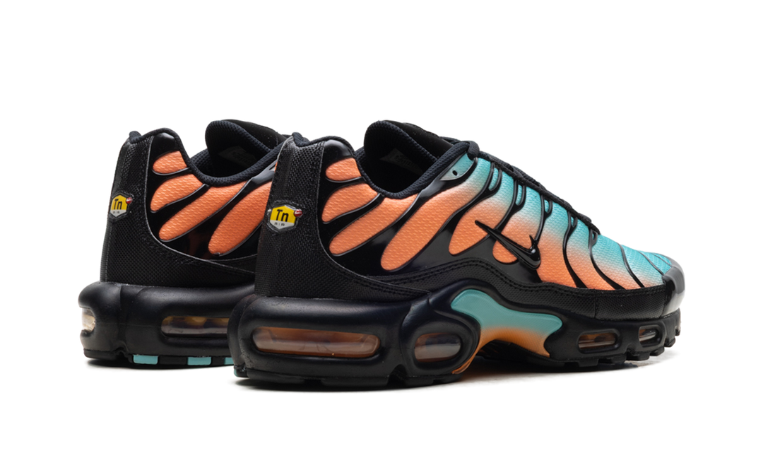 NIKE AIR MAX PLUS SOUTH BEACH
