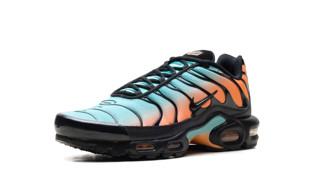 NIKE AIR MAX PLUS SOUTH BEACH