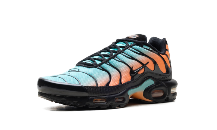 NIKE AIR MAX PLUS SOUTH BEACH