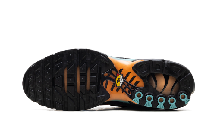 NIKE AIR MAX PLUS SOUTH BEACH