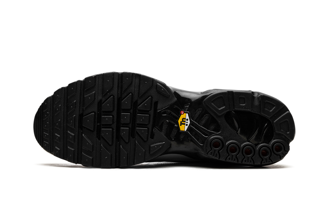 NIKE AIR MAX PLUS TIEMPO WOLF