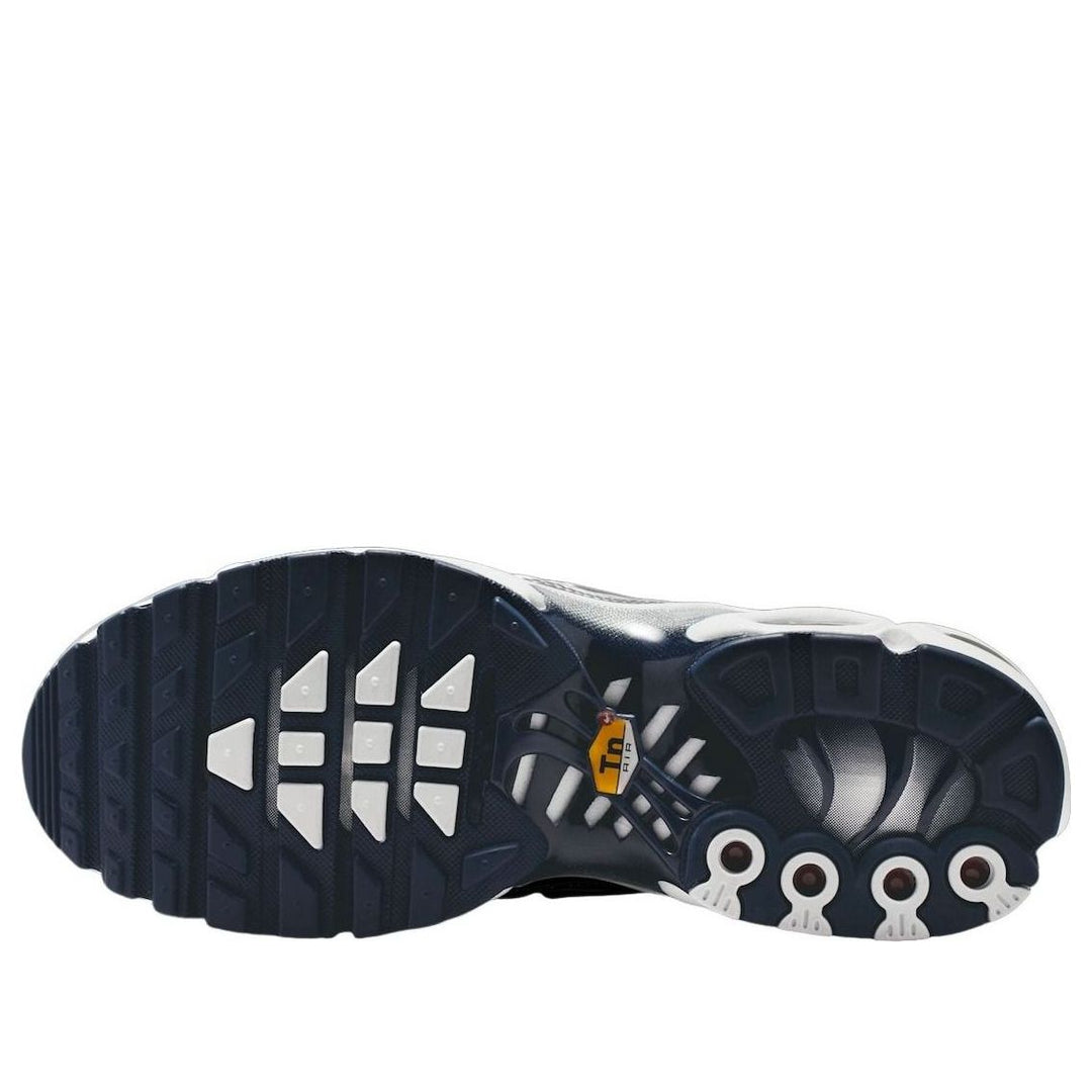 NIKE AIR MAX PLUS WHITE ASHEN SLATE METALLIC SILVER (WOMEN&