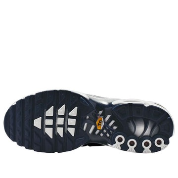 NIKE AIR MAX PLUS WHITE ASHEN SLATE METALLIC SILVER (WOMEN'S) — Stock