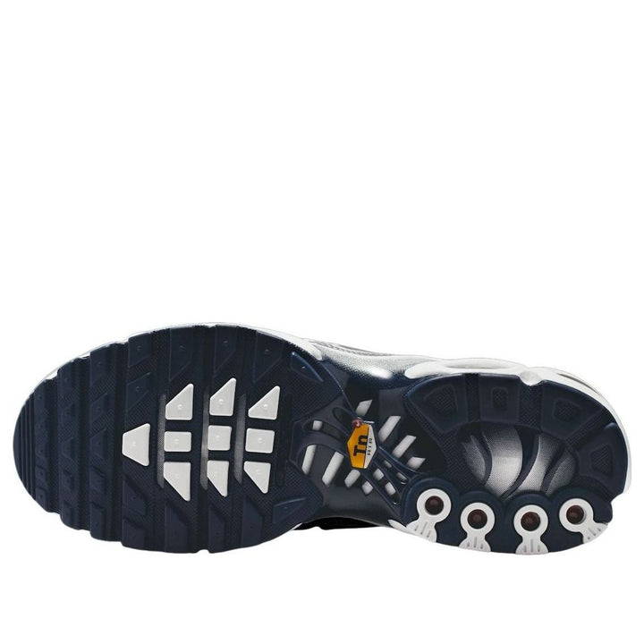 NIKE AIR MAX PLUS WHITE ASHEN SLATE METALLIC SILVER (WOMEN&