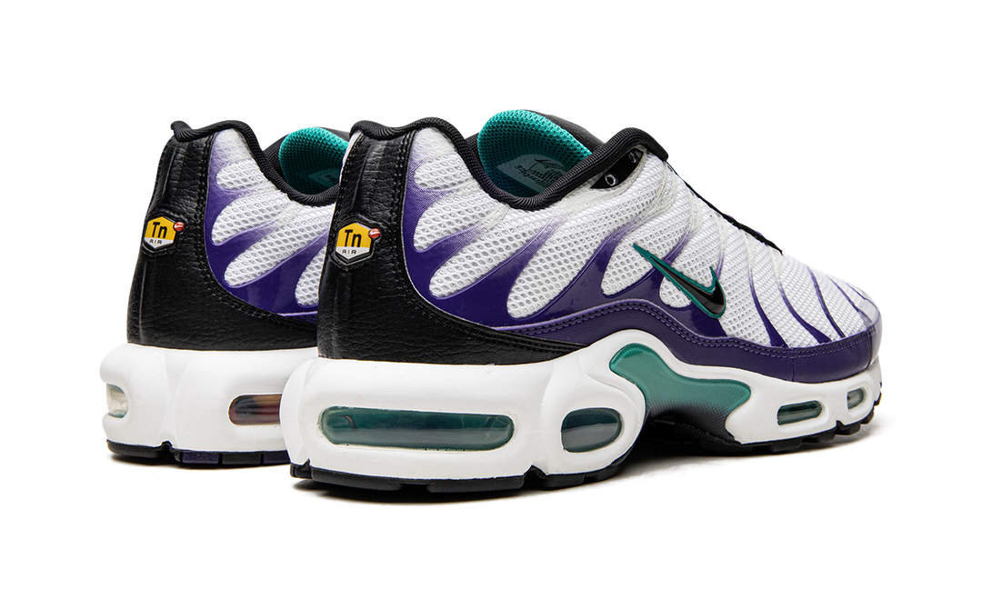 NIKE AIR MAX PLUS WHITE GRAPE ICE